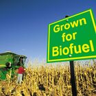UE, affronteremo questione biocarburanti in futuro. No a speculazioni su contenuto intesa con Berlino